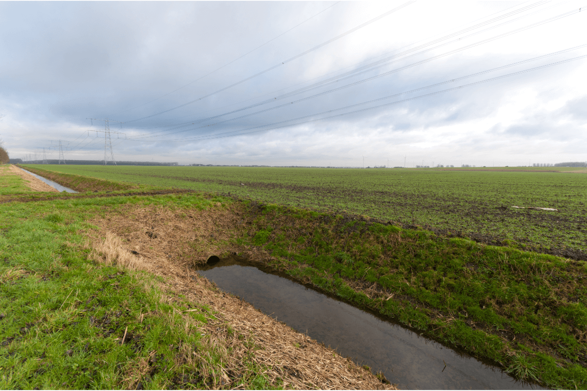 What Property Owners Need to Know About Drainage Easements
